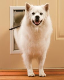PetSafe Freedom Pet Door (Option: Medium  PPA0010860)